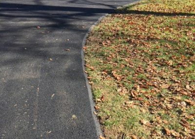 A paved path curves through a park with fallen leaves on either side under tall trees.