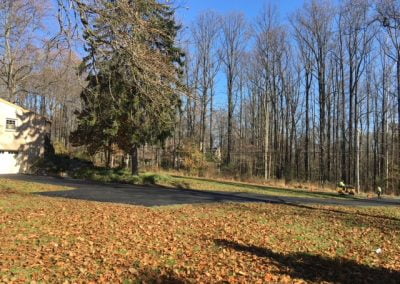A tranquil suburban scene with autumn leaves, a leaf blower, and a house surrounded by tall bare trees.