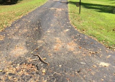 A cracked and leaf-strewn asphalt path lined with grass and trees in a sunny setting.